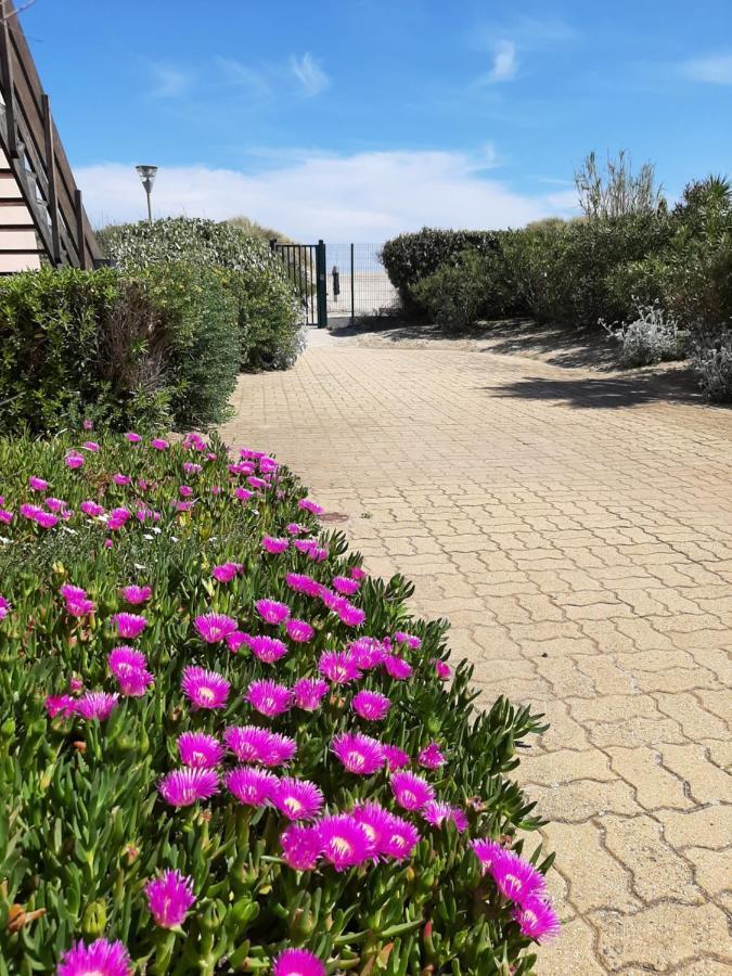 Plage De La Roquille アグド エクステリア 写真
